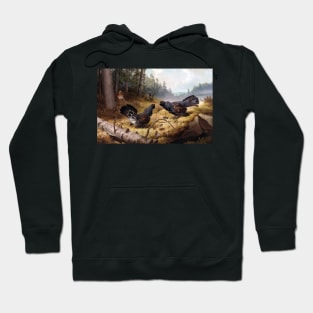 Tetrao urogallus by Ferdinand von Wright Hoodie